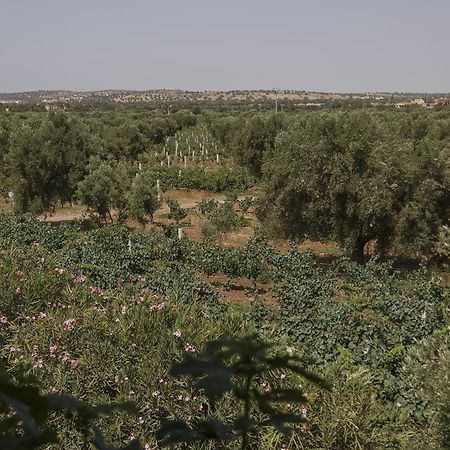 Ryad De Vignes " Le Val D'Argan " Ounara Exterior photo